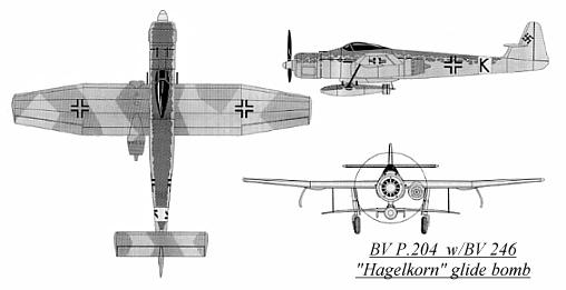 BV P.204.jpg