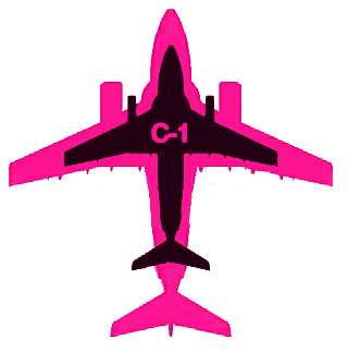 C-2とＣ1比較.jpg