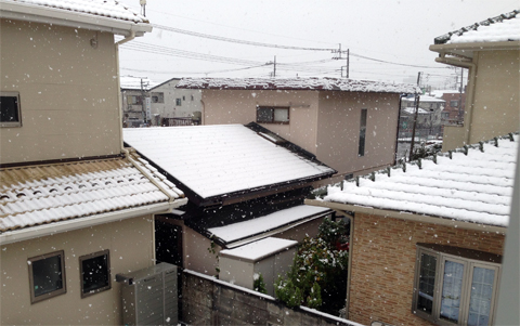 初雪.jpg