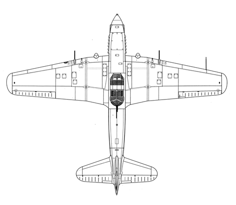 IL-10.jpg