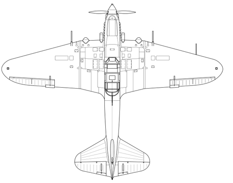 IL-2.jpg