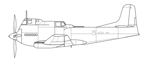 IL-20.jpg