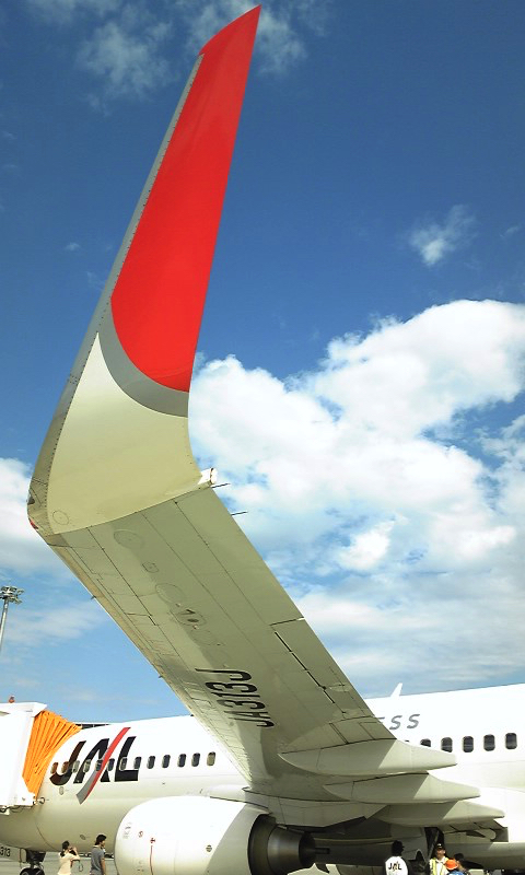 JAL_Express_Boeing737-800-JA313J-'s_winglet copy.jpg