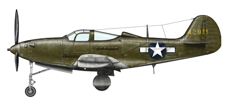 P-39_December_1943 copy.jpg