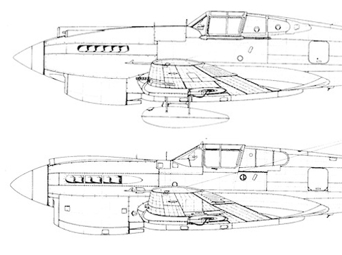 P-40C_D.jpg
